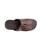 218 460 Castanho5_1-5